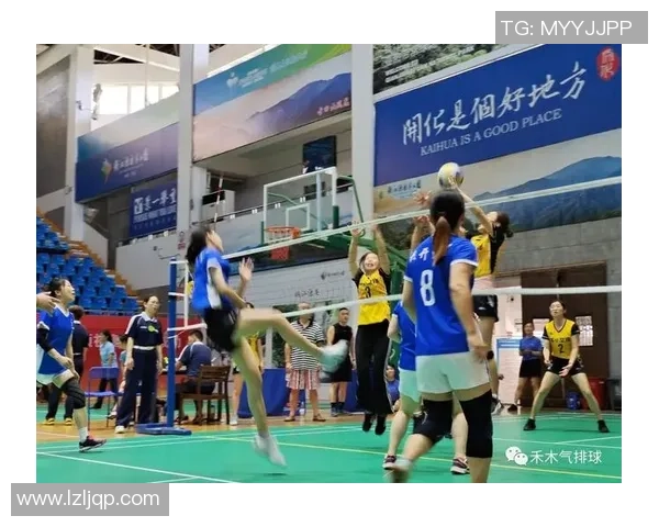 杭州排球队灵活性变革引发热议助力竞技水平提升与战术创新